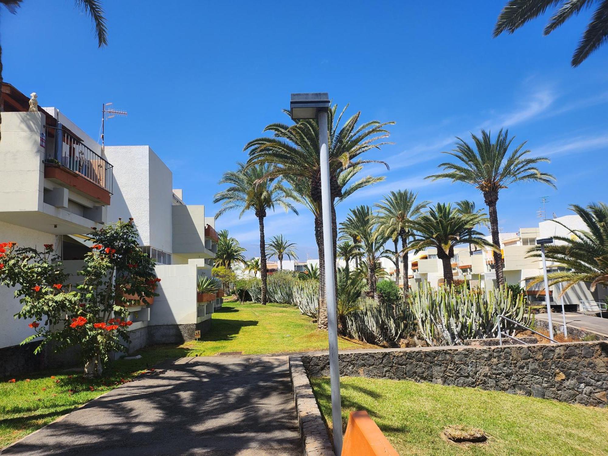 Tenerife Sunshine South Apartment Beach By La Ballena アロナ エクステリア 写真