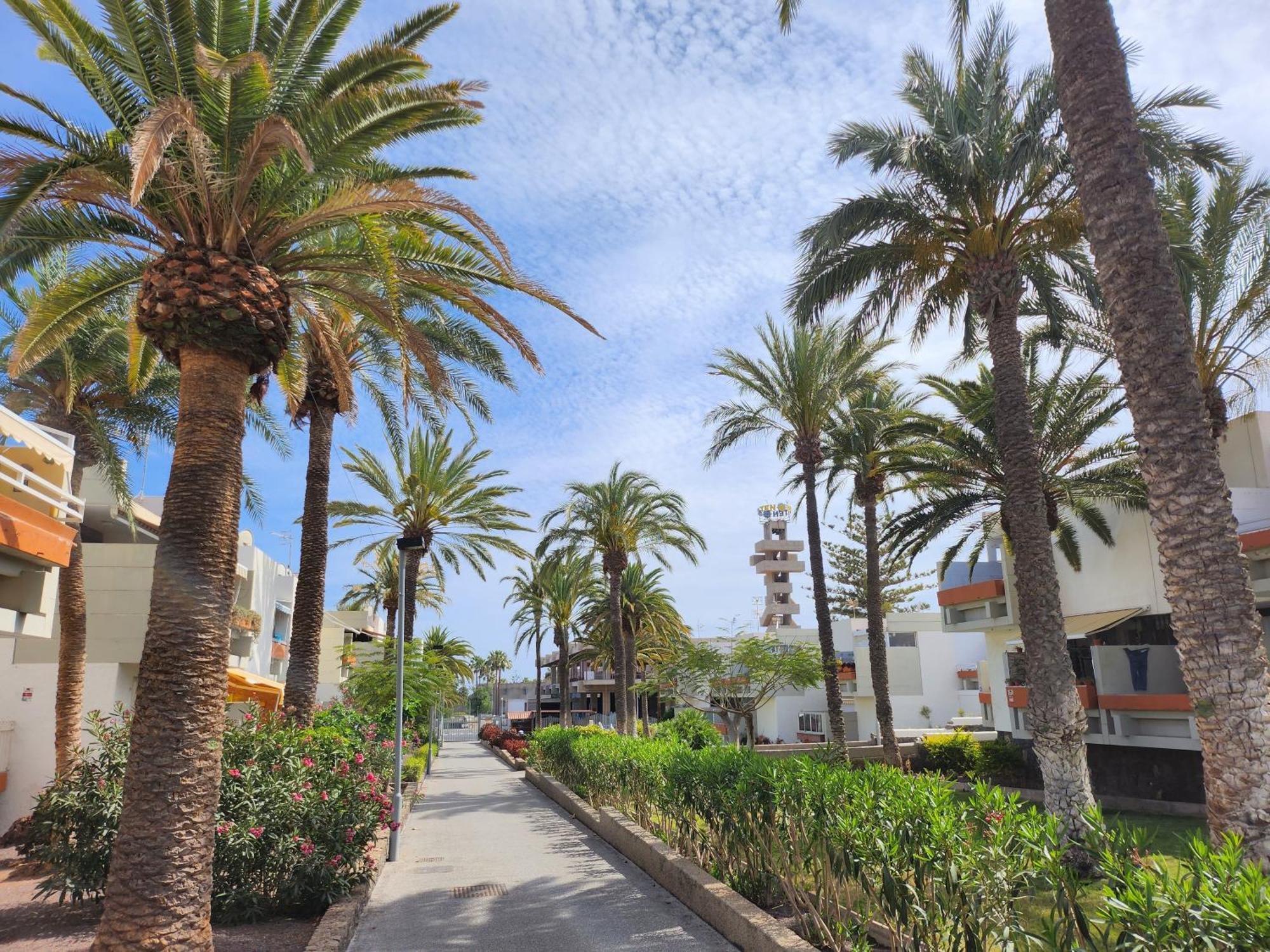 Tenerife Sunshine South Apartment Beach By La Ballena アロナ エクステリア 写真