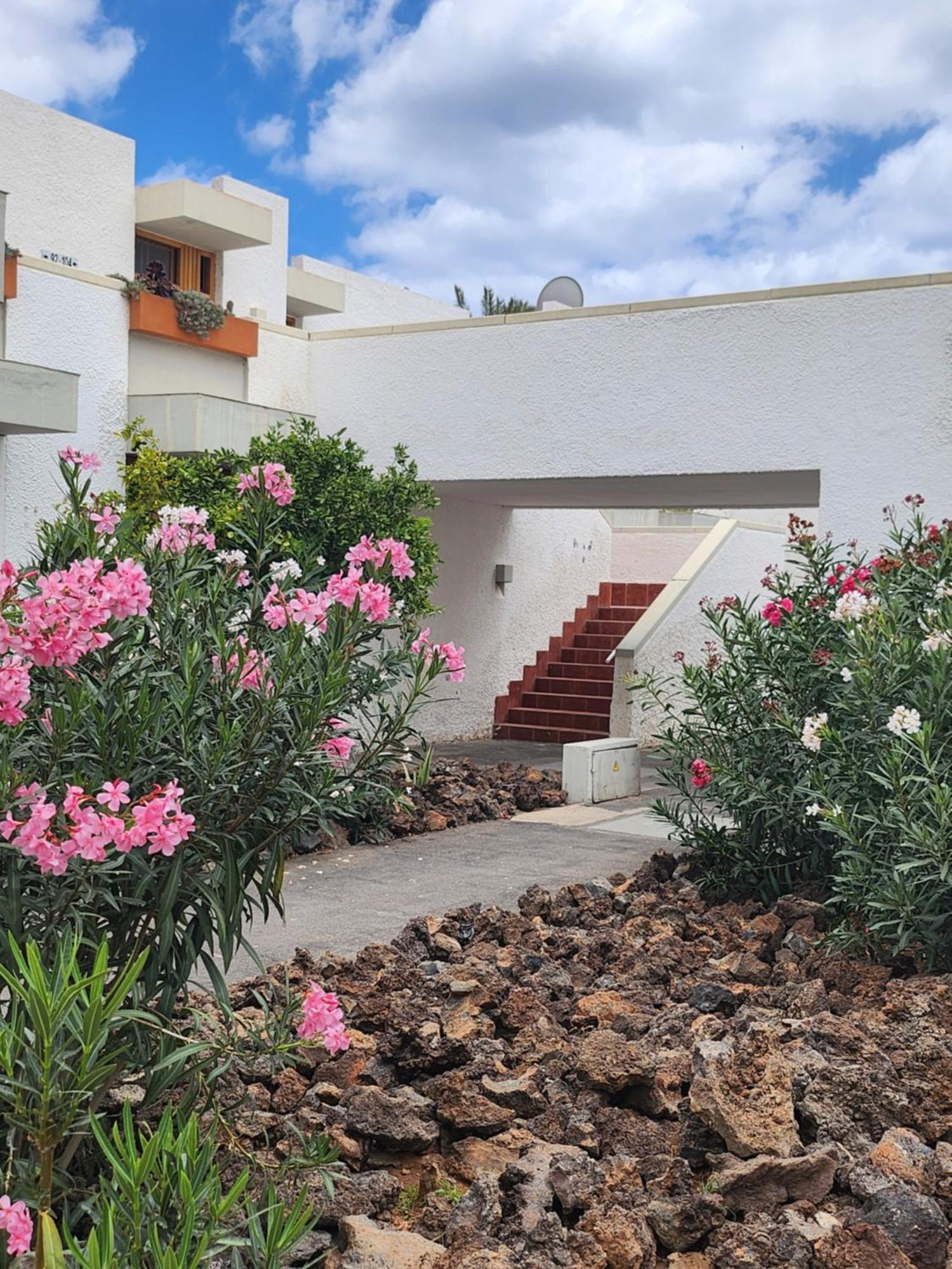 Tenerife Sunshine South Apartment Beach By La Ballena アロナ エクステリア 写真