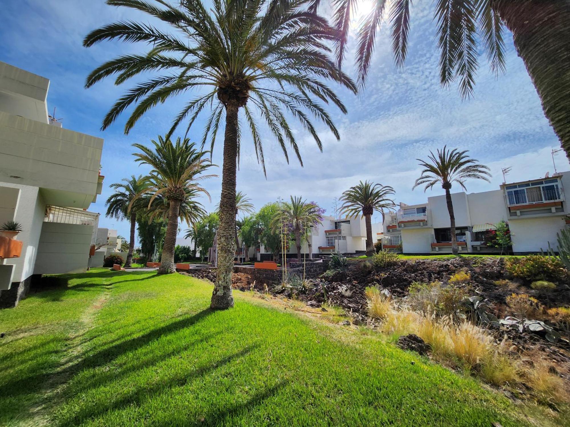 Tenerife Sunshine South Apartment Beach By La Ballena アロナ エクステリア 写真