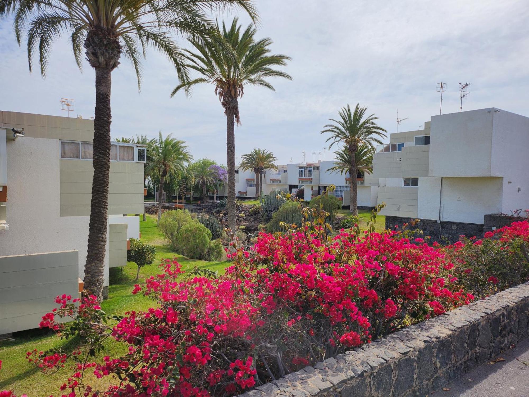 Tenerife Sunshine South Apartment Beach By La Ballena アロナ エクステリア 写真